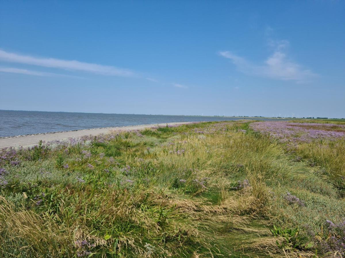 Haus Meererleben - Urlaub Mit Hund An Der Nordsee Schweiburg Bagian luar foto